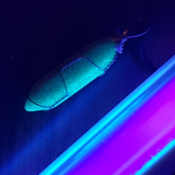 ♦️ Red Glow in the Dark Stone Necklace - Picture 3 of 6